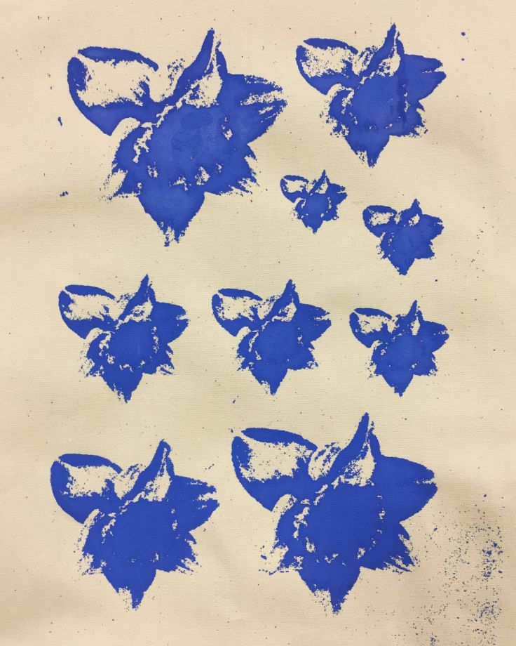 53648496_439708193438590_6973267953567399936_n